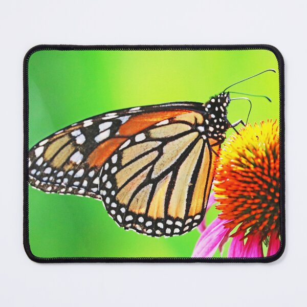 Item preview, The Beauty Of The Monarch Butterfly designed and sold by Deb Oppermann.