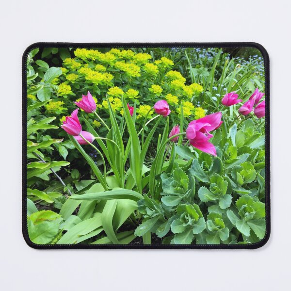 Item preview, Flower bed with tulips designed and sold by Gourmetkater.