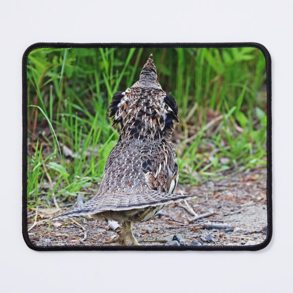 Item preview, Ruffed Grouse Walks Away designed and sold by Deb Oppermann.