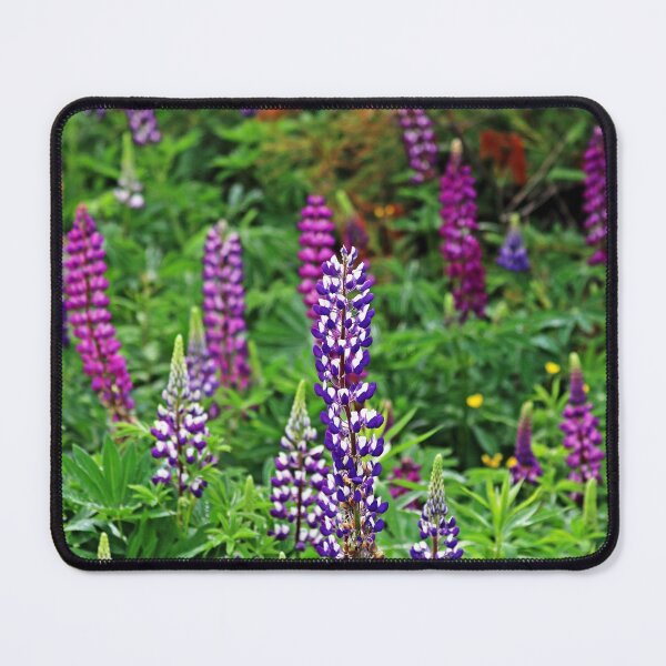 Item preview, Shades Of Purple Lupine designed and sold by Deb Oppermann.