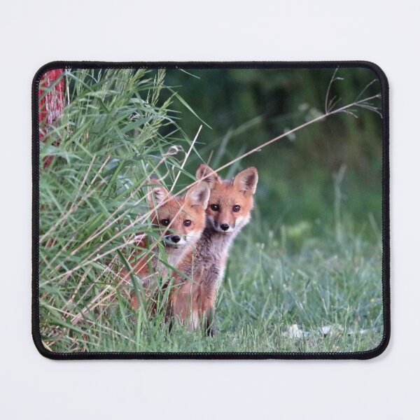 Item preview, Super Cute Red Fox Kits designed and sold by Deb Oppermann.