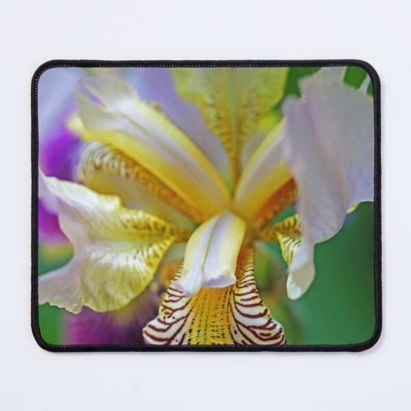 Item preview, Purple And Yellow Iris designed and sold by Deb Oppermann.