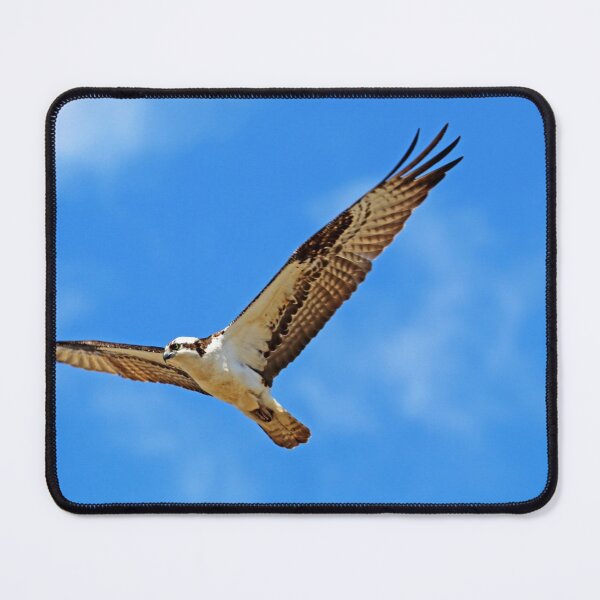Item preview, Nice Day For Flying designed and sold by Deb Oppermann.