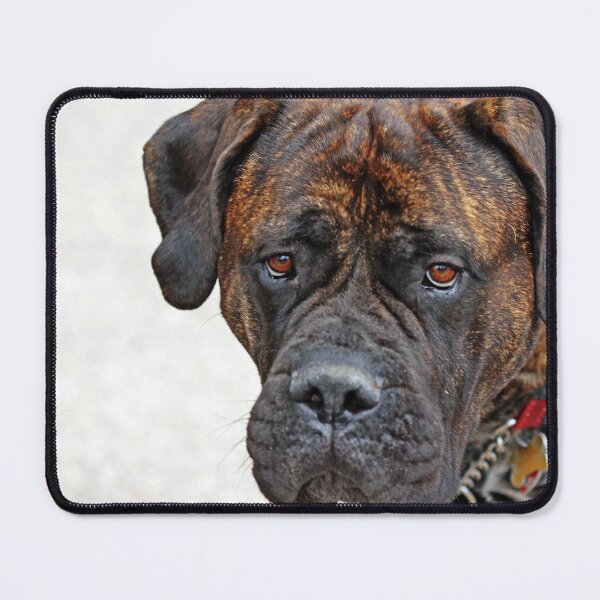 Item preview, Gina designed and sold by Deb Oppermann.