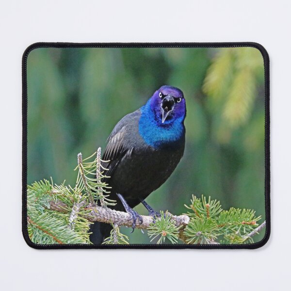 Item preview, Get Lost designed and sold by Deb Oppermann.