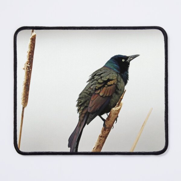 Item preview, Grackle Beauty designed and sold by Deb Oppermann.