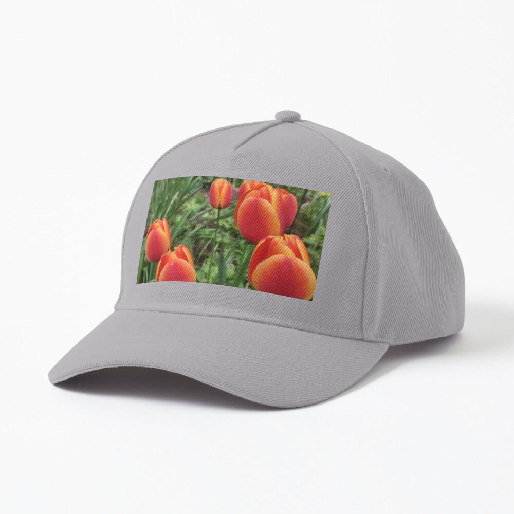 Tulpen Cap