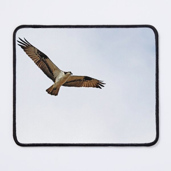Item preview, Osprey Soaring designed and sold by Deb Oppermann.