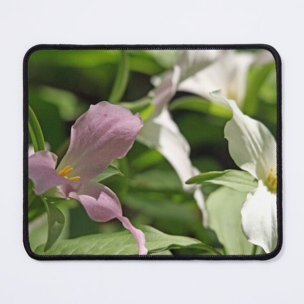 Item preview, Fresh And Faded designed and sold by Deb Oppermann.