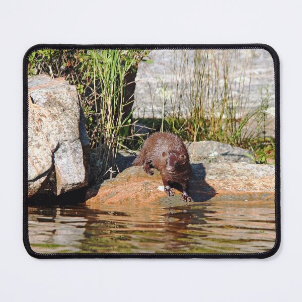 Item preview, Curiousity designed and sold by Deb Oppermann.