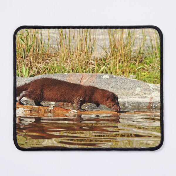 Item preview, American Mink designed and sold by Deb Oppermann.