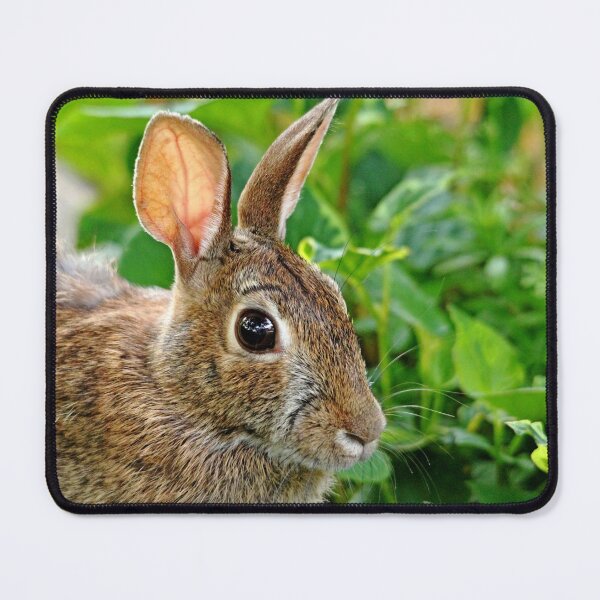 Item preview, Rabbit Ears designed and sold by Deb Oppermann.