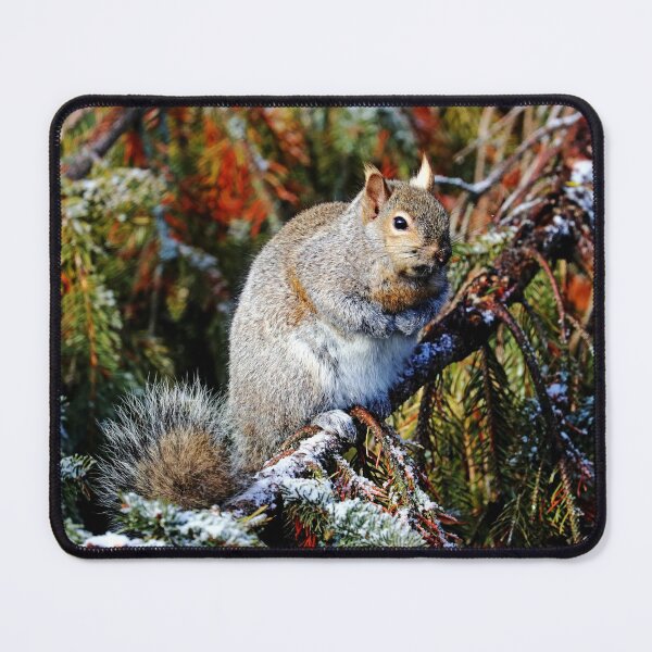 Item preview, Fill The Feeder Please designed and sold by Deb Oppermann.