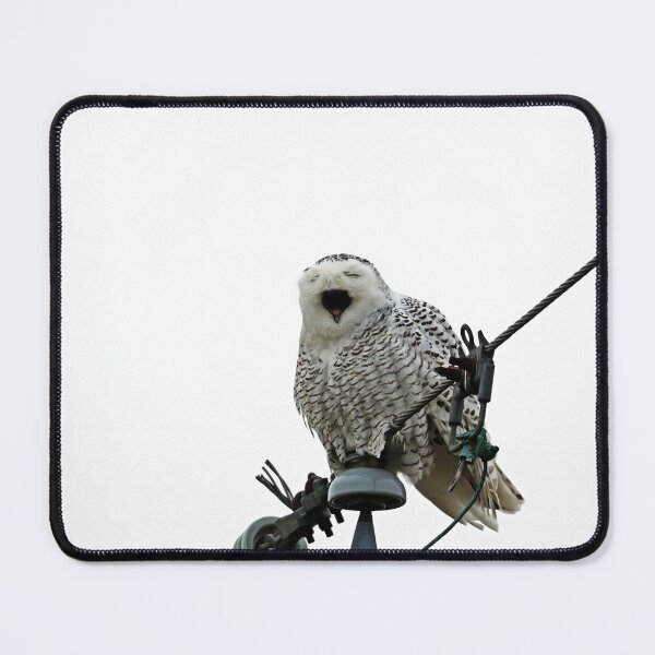 Item preview, Tired Snowy Owl designed and sold by Deb Oppermann.
