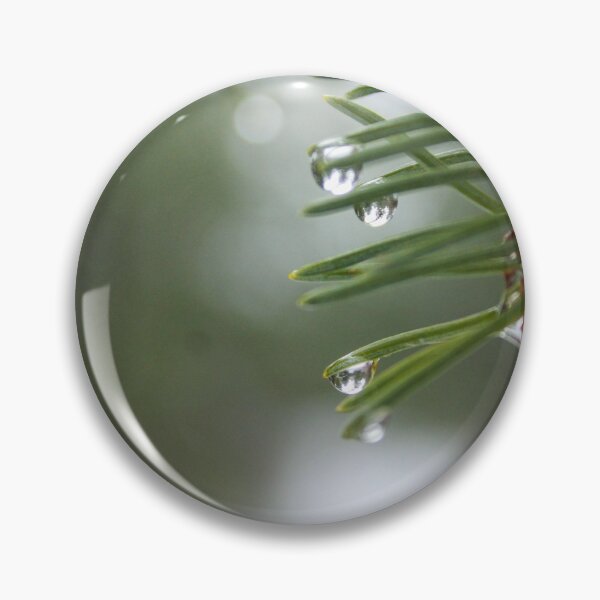 Item preview, H0128 Pine Tree designed and sold by photographyemd.