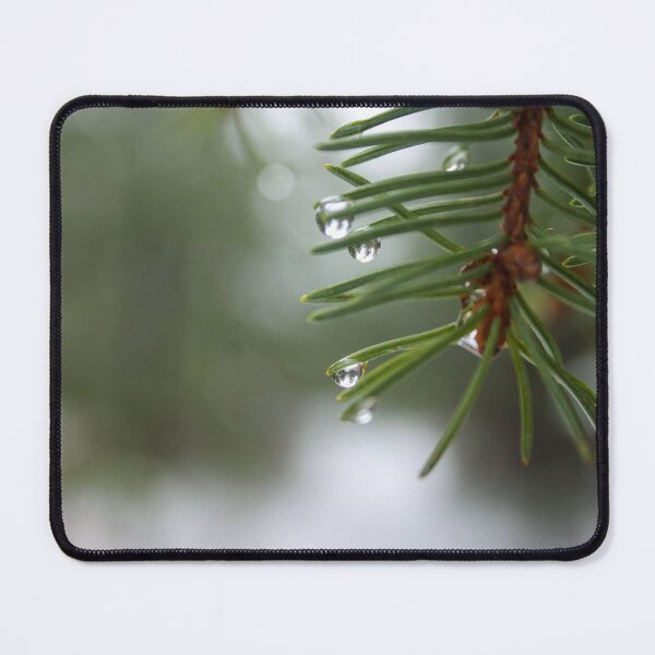 Item preview, H0128 Pine Tree designed and sold by photographyemd.