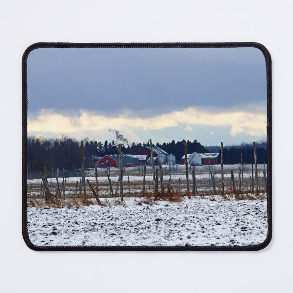 Item preview, Winter Farm Scene With Snowy Owl designed and sold by Deb Oppermann.