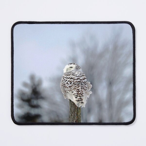 Item preview, Snowy Owl Sideways Glance designed and sold by Deb Oppermann.