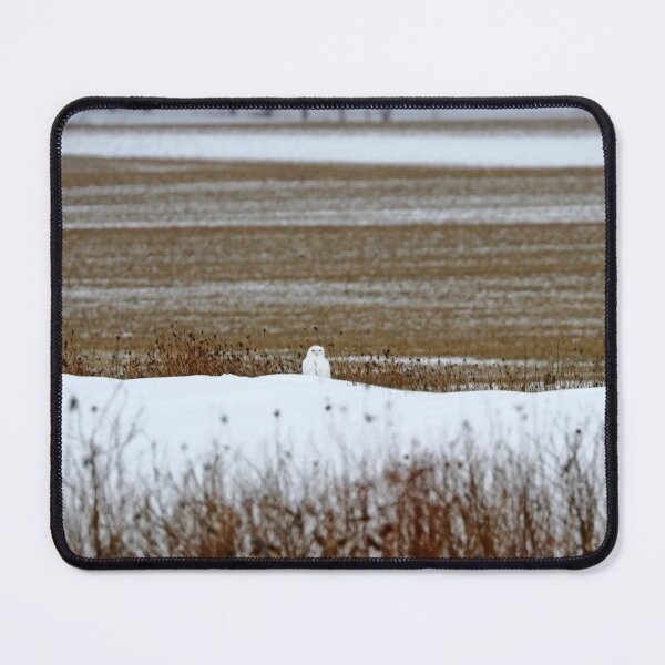 Item preview, Snowy Owl Well Camouflaged designed and sold by Deb Oppermann.