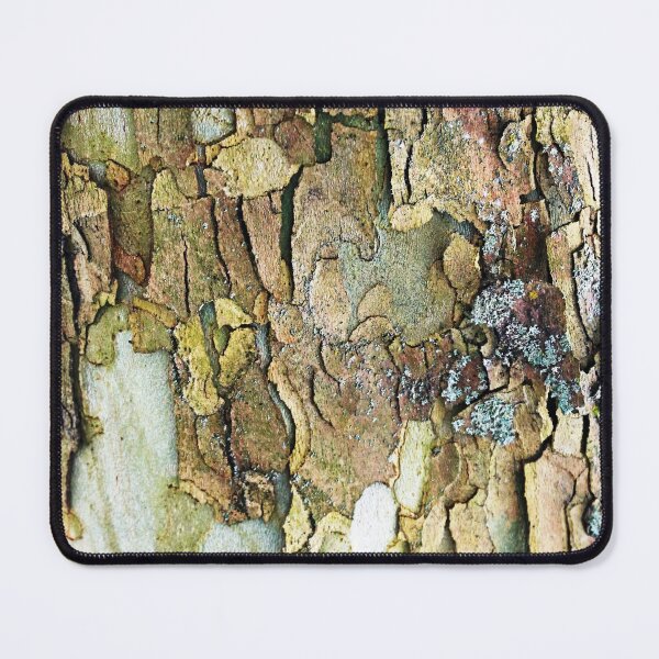 Item preview, Colors Of Eastern Sycamore II designed and sold by Deb Oppermann.