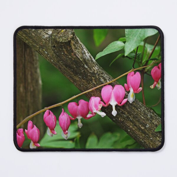 Item preview, Bleeding Hearts By Arbor designed and sold by Deb Oppermann.