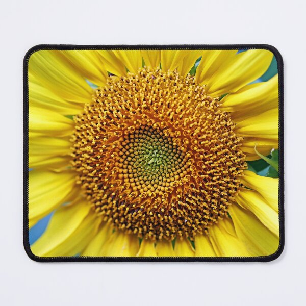 Item preview, Sunshine In The Garden designed and sold by Deb Oppermann.