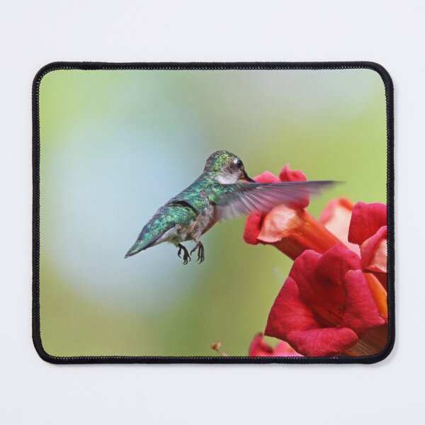 Item preview, Feeding On The Trumpets designed and sold by Deb Oppermann.