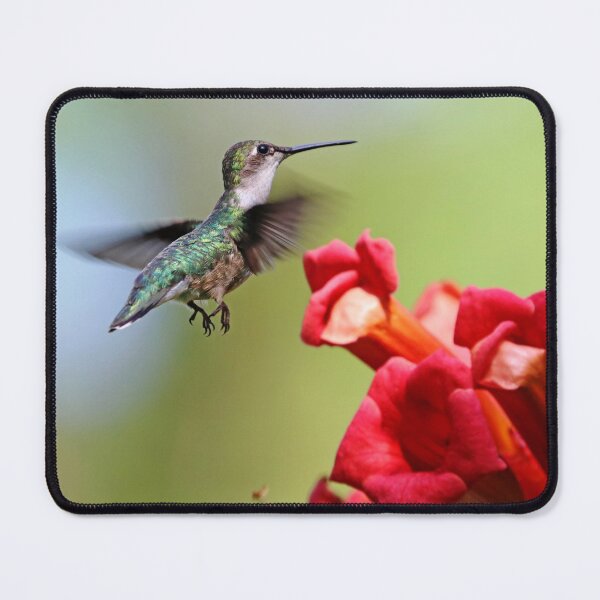 Item preview, Hummingbird And the Trumpets designed and sold by Deb Oppermann.