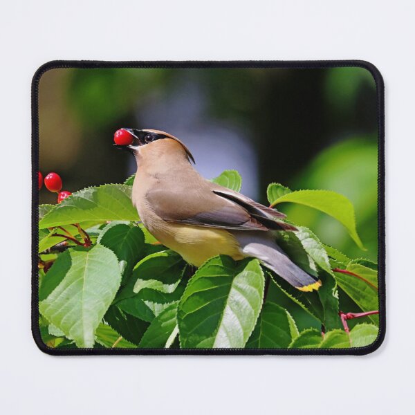 Item preview, Cherry Picking designed and sold by Deb Oppermann.