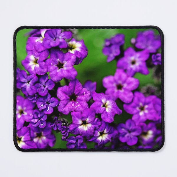 Item preview, Scent Of Vanilla designed and sold by Deb Oppermann.