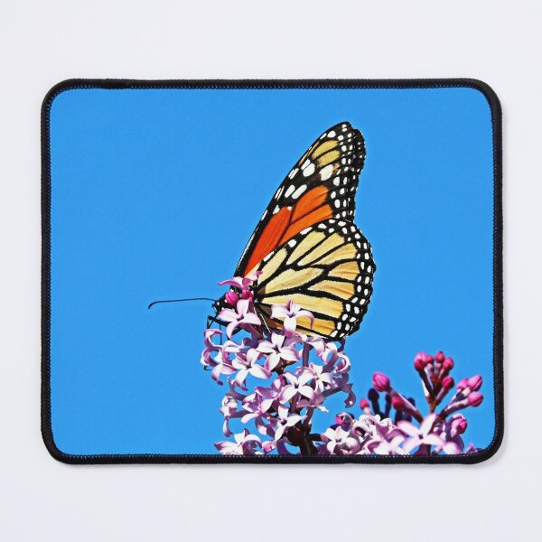 Item preview, Monarch And Lilacs designed and sold by Deb Oppermann.