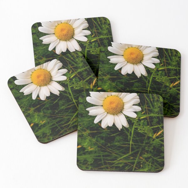 Item preview, V0007 Daisy designed and sold by photographyemd.