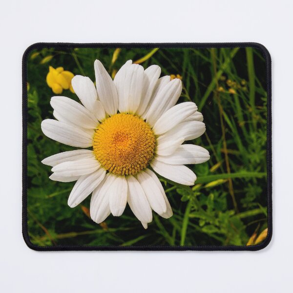 Item preview, V0007 Daisy designed and sold by photographyemd.