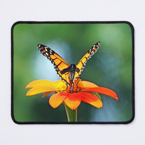 Item preview, Elegant Monarch And Mexican Sunflower designed and sold by Deb Oppermann.