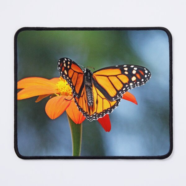 Item preview, Loving Orange designed and sold by Deb Oppermann.