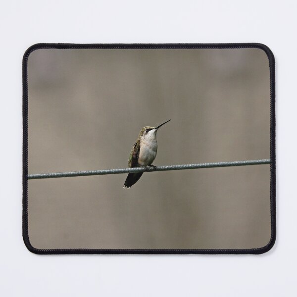 Item preview, Hummer On The Line designed and sold by Deb Oppermann.