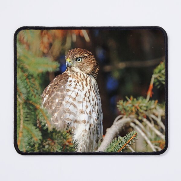 Item preview, Strategic Location designed and sold by Deb Oppermann.