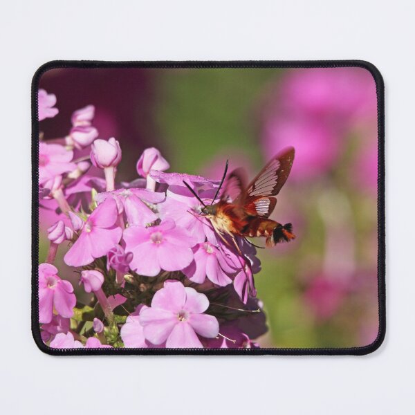 Item preview, Pink Phlox And Clearwing Moth designed and sold by Deb Oppermann.