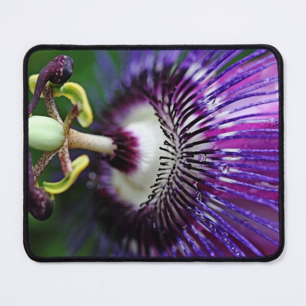 Item preview, Passion Flower In Purple designed and sold by Deb Oppermann.