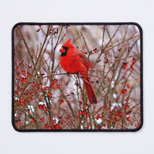 Item preview, Winter Red designed and sold by Deb Oppermann.