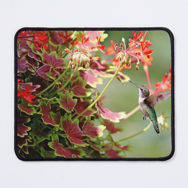Item preview, Hummer And The Geranium designed and sold by Deb Oppermann.