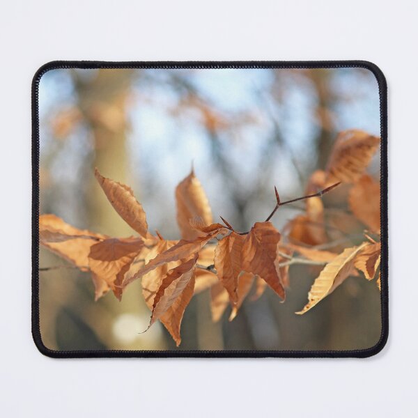 Item preview, Beech Leaves In Fall designed and sold by Deb Oppermann.