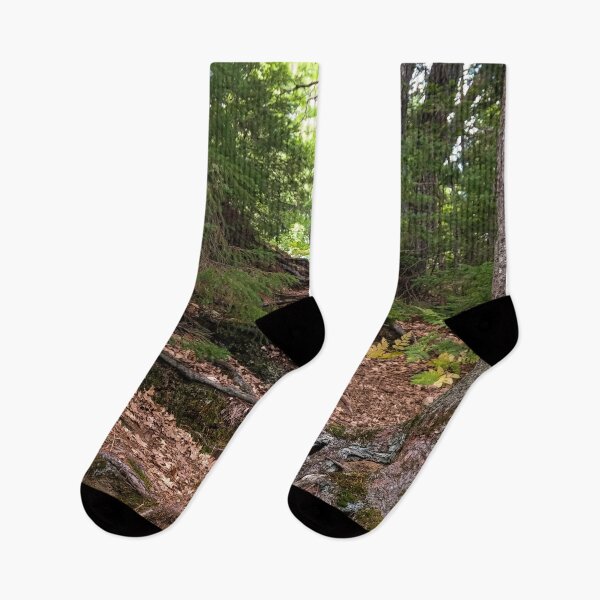 Item preview, V0008 Tree Roots designed and sold by photographyemd.