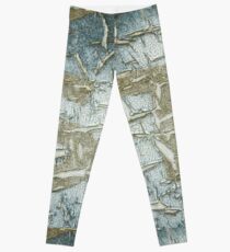 Time Lapse Leggings