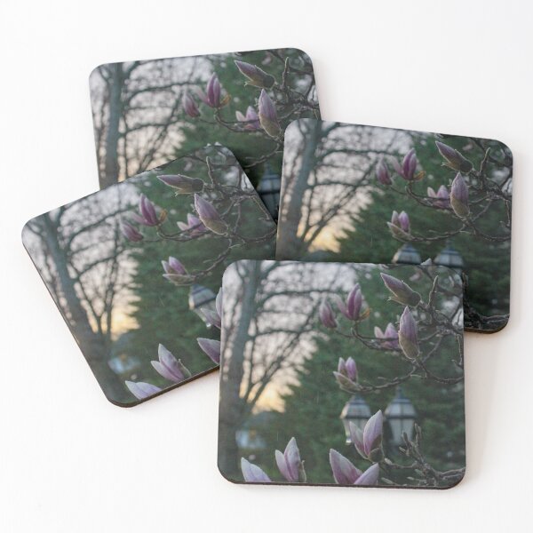 Item preview, V0009 Magnolia Blooms designed and sold by photographyemd.