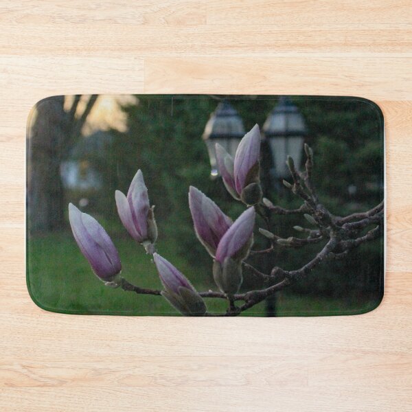 Item preview, V0009 Magnolia Blooms designed and sold by photographyemd.