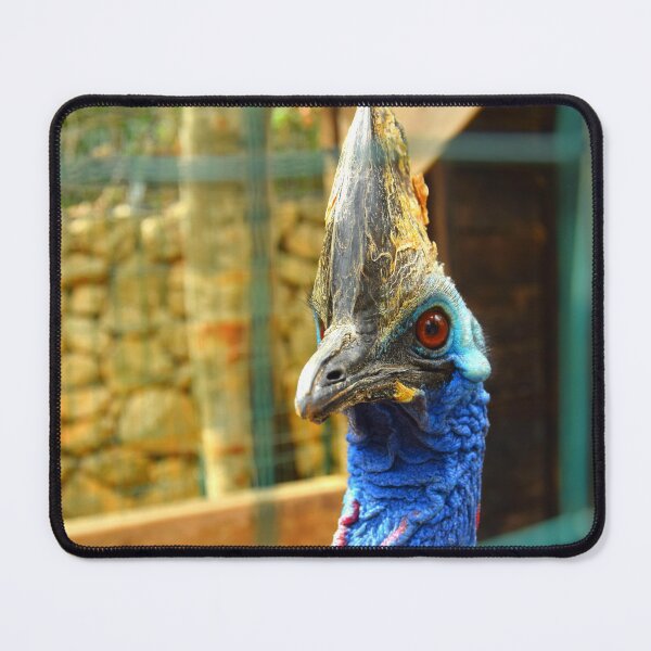 Item preview, a beautiful cassowary with a piercing look designed and sold by Sapphire-Sheaf.