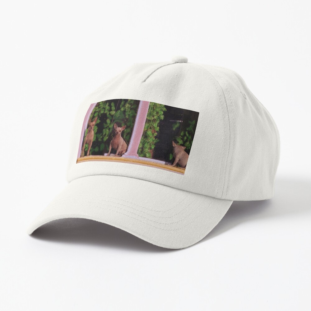 south beach dad hat