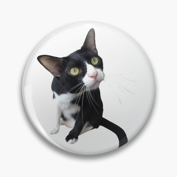 Item preview, watching black and white cat, watching lizard designed and sold by Benchamart.