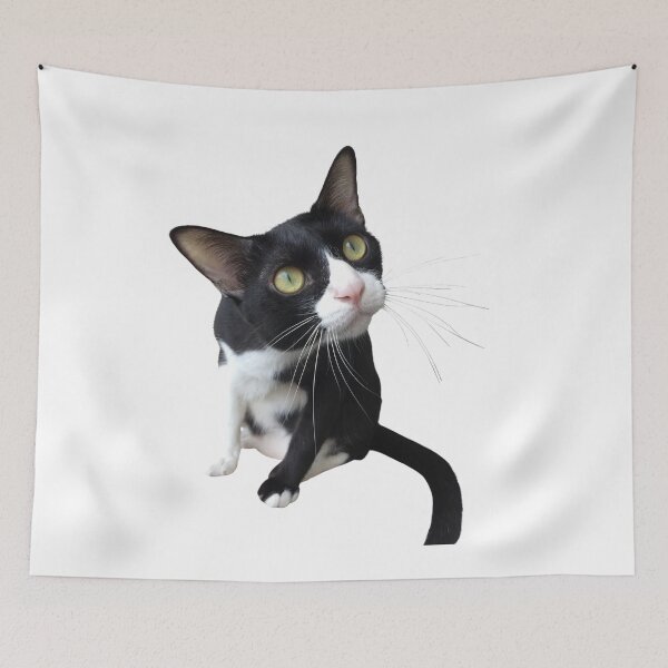 Item preview, watching black and white cat, watching lizard designed and sold by Benchamart.